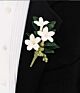 Stephanotis Boutonniere 