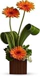 Gerbera Box
