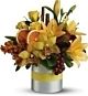 Citrus arrangement