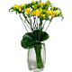 Freesia Arrangement Denver Delivery