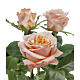 Garden Rose Shimmer