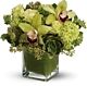 Green Arrangement