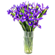 Iris arrangement for Denver Delivery