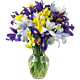 Iris arrangement for Denver Delivery