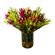 Vibrant Leucadendron arrangement with bold colors and long-lasting blooms in a modern floral design