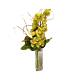 Mini Cymbidium Budvase