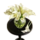 Mini calla arrangement for Denver delivery