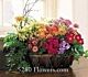 Mixed Bloomer