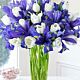 Blue and white flowers.