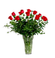 One Dozen red Rose arrangement Denver Delivery
