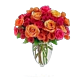 Orange and Hot pink Sherbet Roses