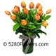 Fall Tulips
