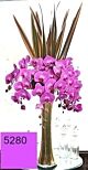 Orchid