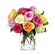 Denver Rainbow Roses Delivery