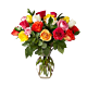 Rainbow Roses Denver Delivery