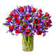 Red tulips and blue iris