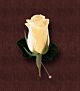 Single Boutonierre