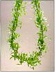 Smilax garland