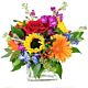 Summer Flower Cube Same Day Delivery