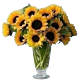 Denver Sunflower arrangements 