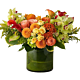 Fall Flower arrangement for same day delivery in Metro Denver