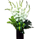 White Gladiolus Arrangement for Sympathy