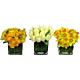 Springtime Fragrant arrangement Denver delivery