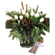 Holiday white Tulips