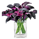 Schwartzwald Mini Calla Denver Delivery