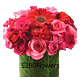Denver Pink Rose Arrangement