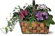 African violet basket