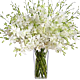 white Dendrobium Orchid arrangement