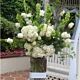 White Flower arrangement Funeral Sympathy and New years For Denver Delivery