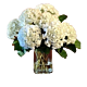 white Hydrangea arrangement denver delivery
