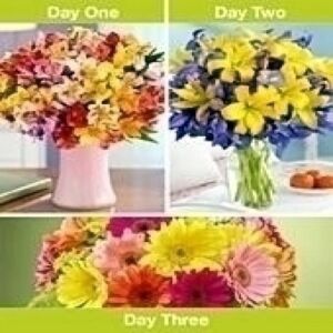3 days of Flowers Hand delivered!