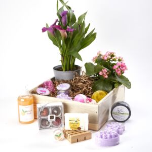Colorado Bath, Beauty, Chocolate and Plants Crate