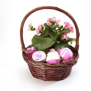 Colorado made Berry Smoothie Bath set with a blooming plant