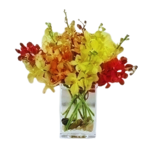 Fall Orchids With River Rock