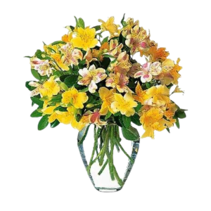 Alstroemeria arrangement