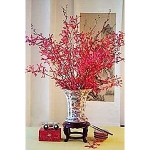 Orchid James Storii arrangement,