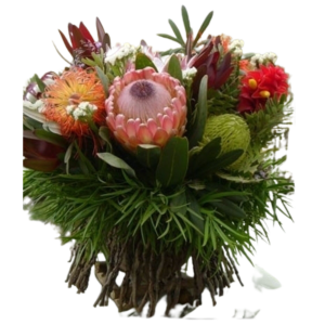 Botanical Protea arrangement