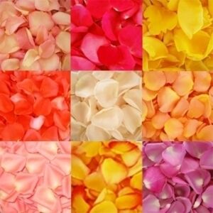 Bulk Rose petals all Colors, approx. 3000 petals