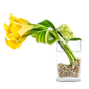 Yellow Calla fantasy