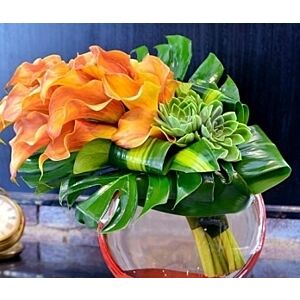 Calla extravaganza