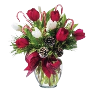 Christmas Peppermint Tulips