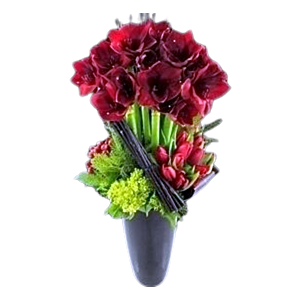 Large Christmas Red Amaryllis Arrangement Subject to availability