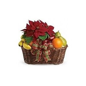 Christmas Fruit and Poinsettia Basket