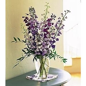Delphinium arrangement