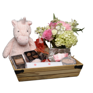 large Newborn Baby girl gift crate LOCAL
