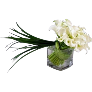 Calla Cube with Lilly grass start at 10 stem